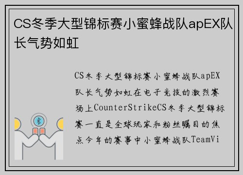 CS冬季大型锦标赛小蜜蜂战队apEX队长气势如虹