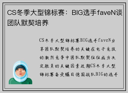 CS冬季大型锦标赛：BIG选手faveN谈团队默契培养