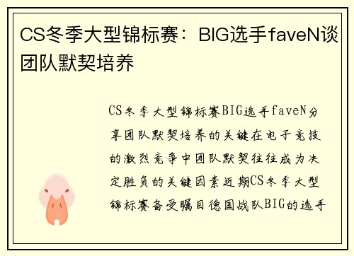 CS冬季大型锦标赛：BIG选手faveN谈团队默契培养