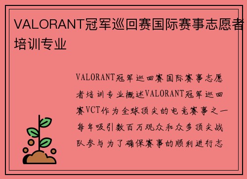 VALORANT冠军巡回赛国际赛事志愿者培训专业