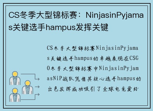 CS冬季大型锦标赛：NinjasinPyjamas关键选手hampus发挥关键